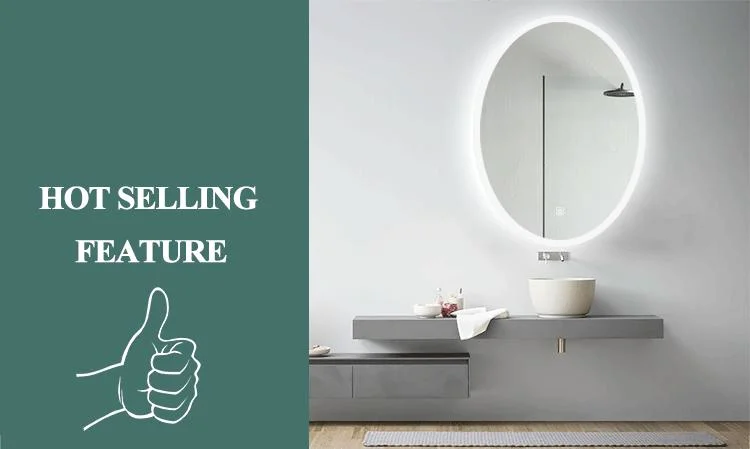 Illuminated Oval Mirror Wall Smart Bathroom Mirror Review Dimming LED Light