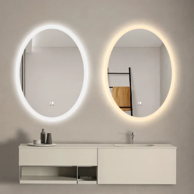 照明付き楕円形ミラーウォールスマートバスルームミラーレビュー調光LEDライト